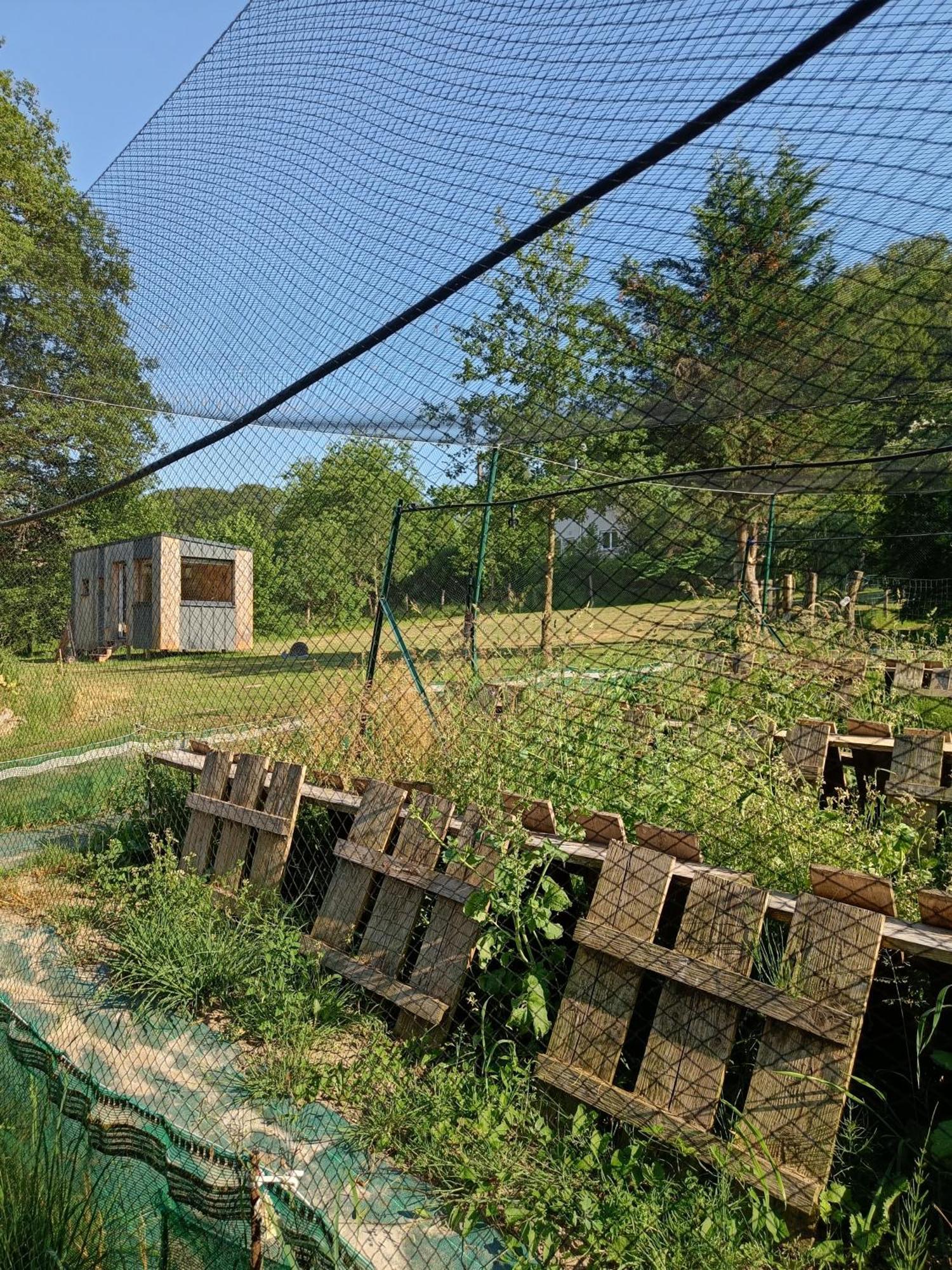 L'Escargoterie De La Forge - Immersion Champetre Uzemain 외부 사진